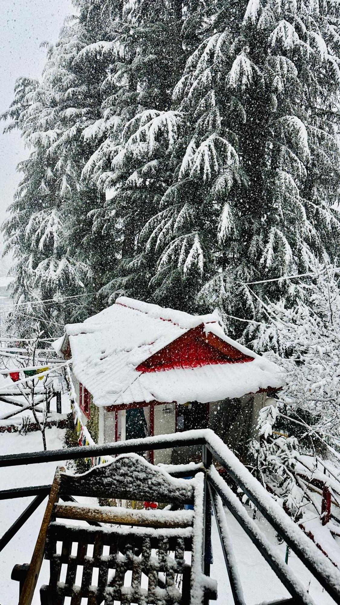 Red House Cafe And Inn Manali  Exterior photo